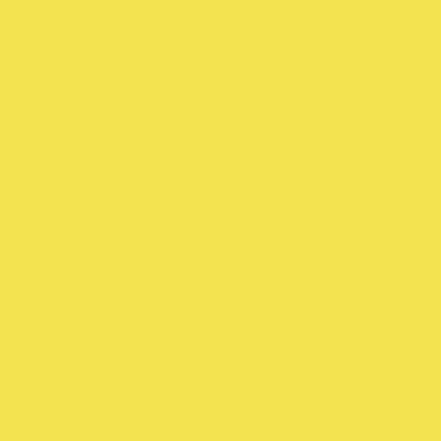 Montana Acrylic Marker 2mm Fine - Fluro Flash Yellow