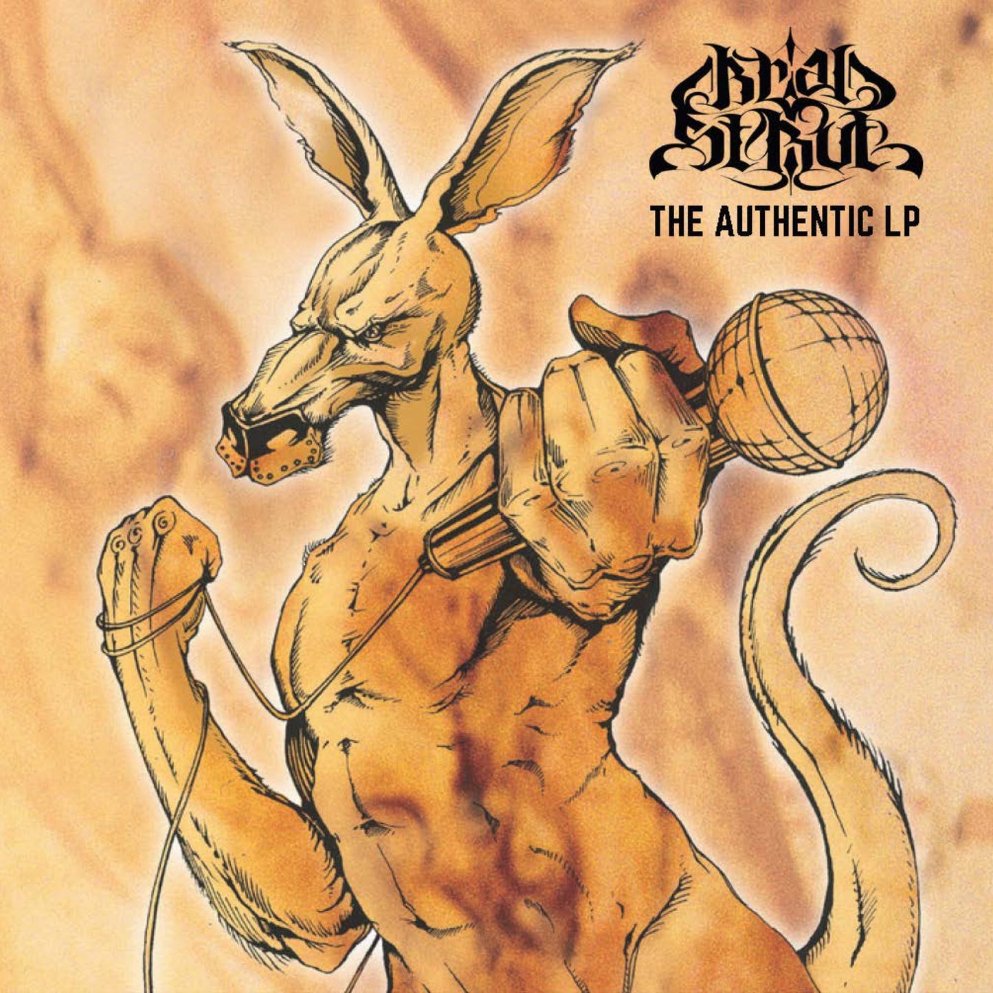 Brad Strut Discography CD Pack (7)