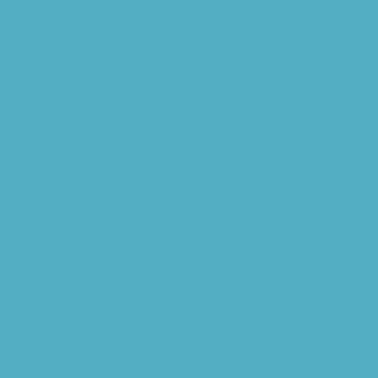 Montana Acrylic Marker 2mm Fine - 100% Cyan